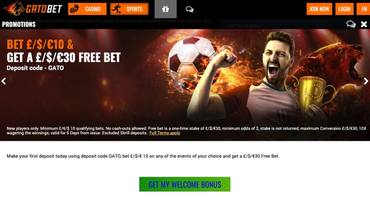 Betiton Review, Free Bets and Offers: Mobile and Desktop Features